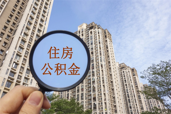嵊州离职可以取出公积金吗（离职可以取公积金嘛）